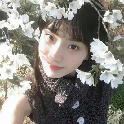 6号叩应女郎