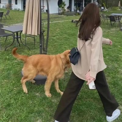 地狱是一座城市